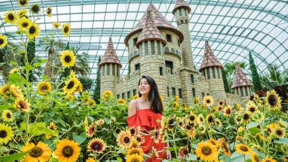 Gardens By The Bay S Sunflower Fields Neon Jungle Night Market Make A Full Day Outing That Requires No Planning