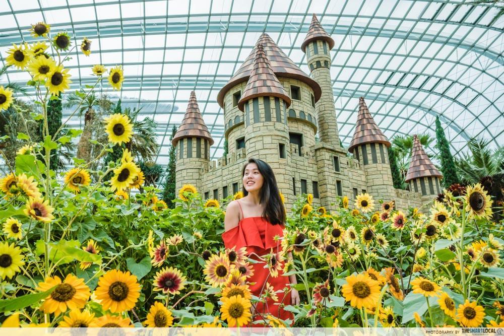 Sunflower Surprise Gardens by the Bay - castle wizard of oz cover image