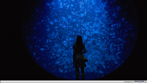 Tohoku Japan - jelly fish kamo aquarium