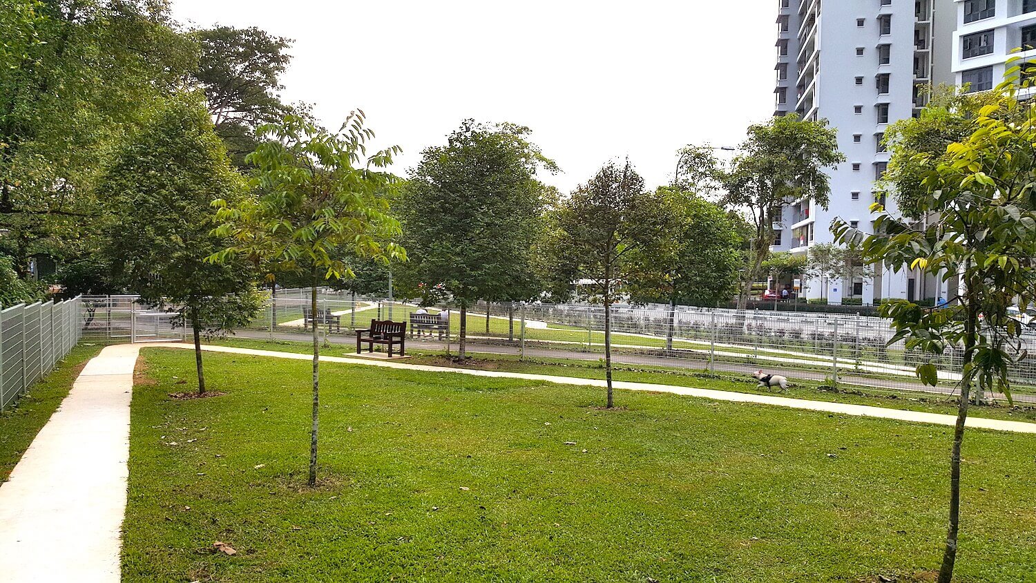 katong park dog run