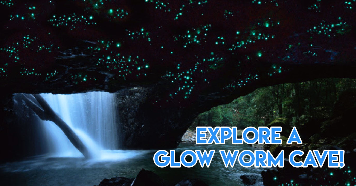 Queensland trips jetabout holidays - glow worm cave cover image