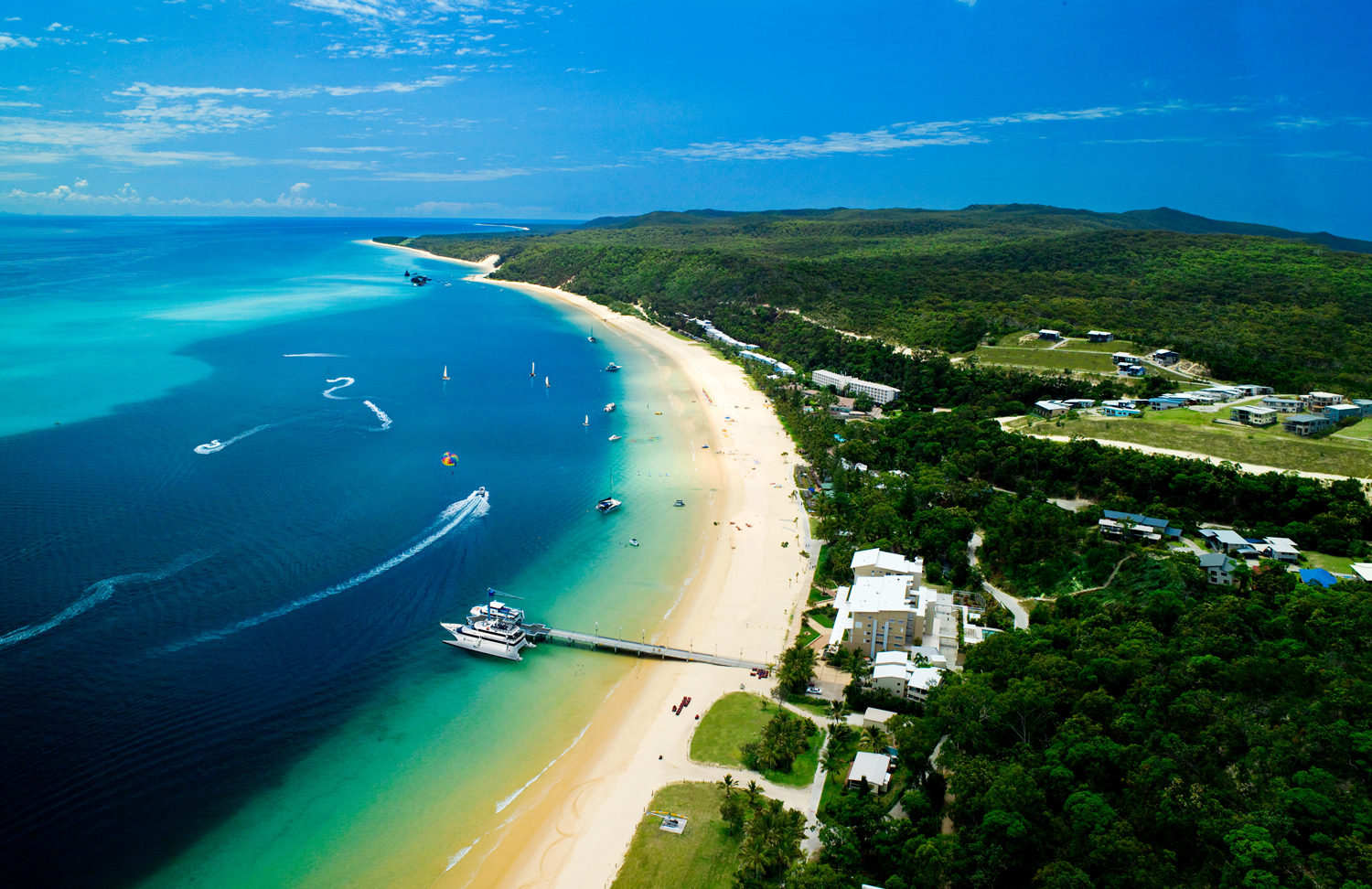 Queensland trips jetabout holidays - tangalooma resort dolphin whale watching