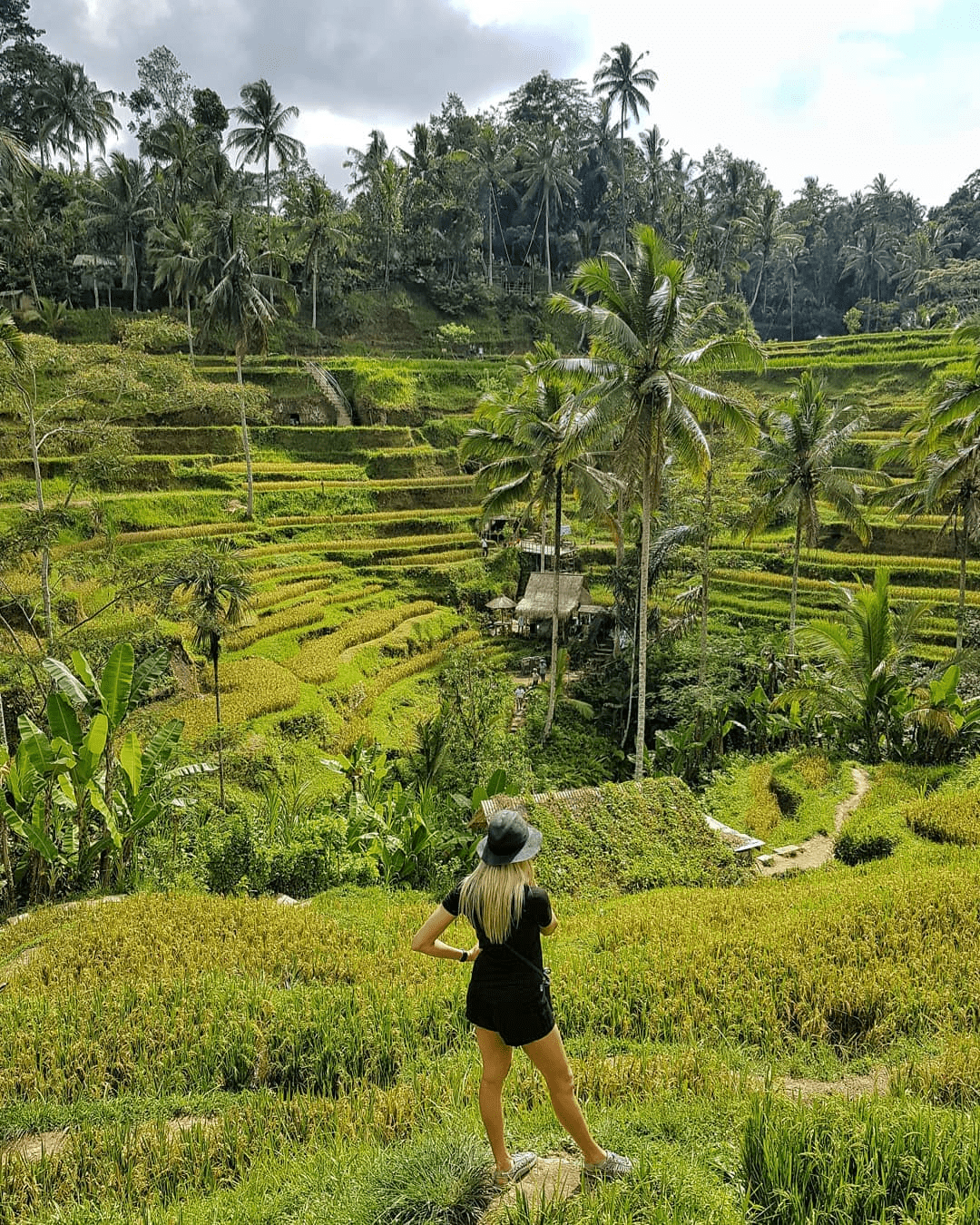 tegalalang rice terrace 