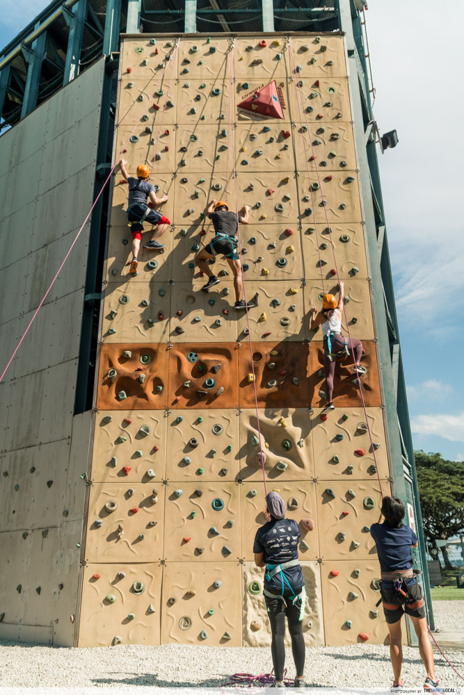 sport climbing wall