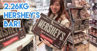 Giant Hershey's chocolate honestbee