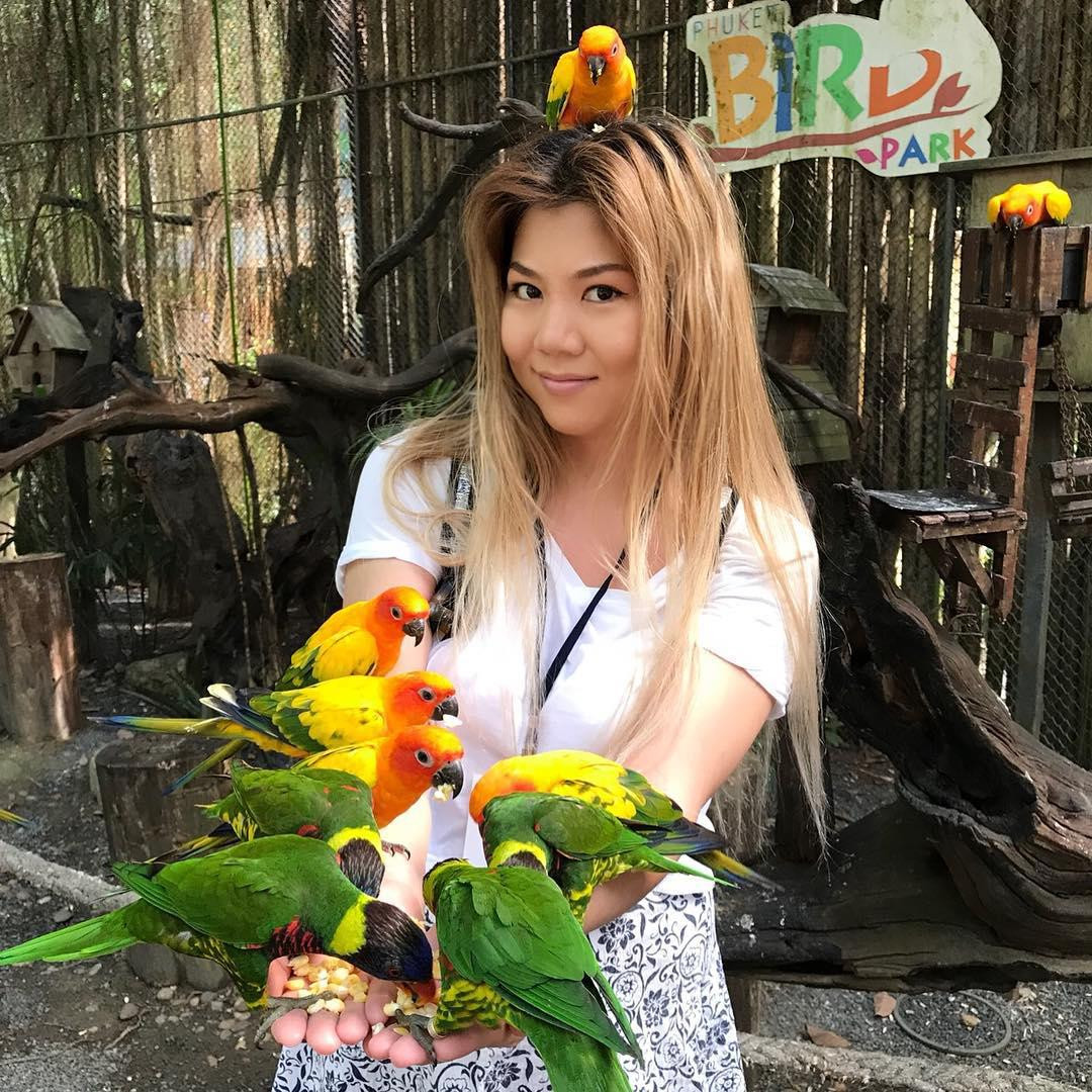 Phuket Bird Park is home to more than 100 bird species across Asia. 