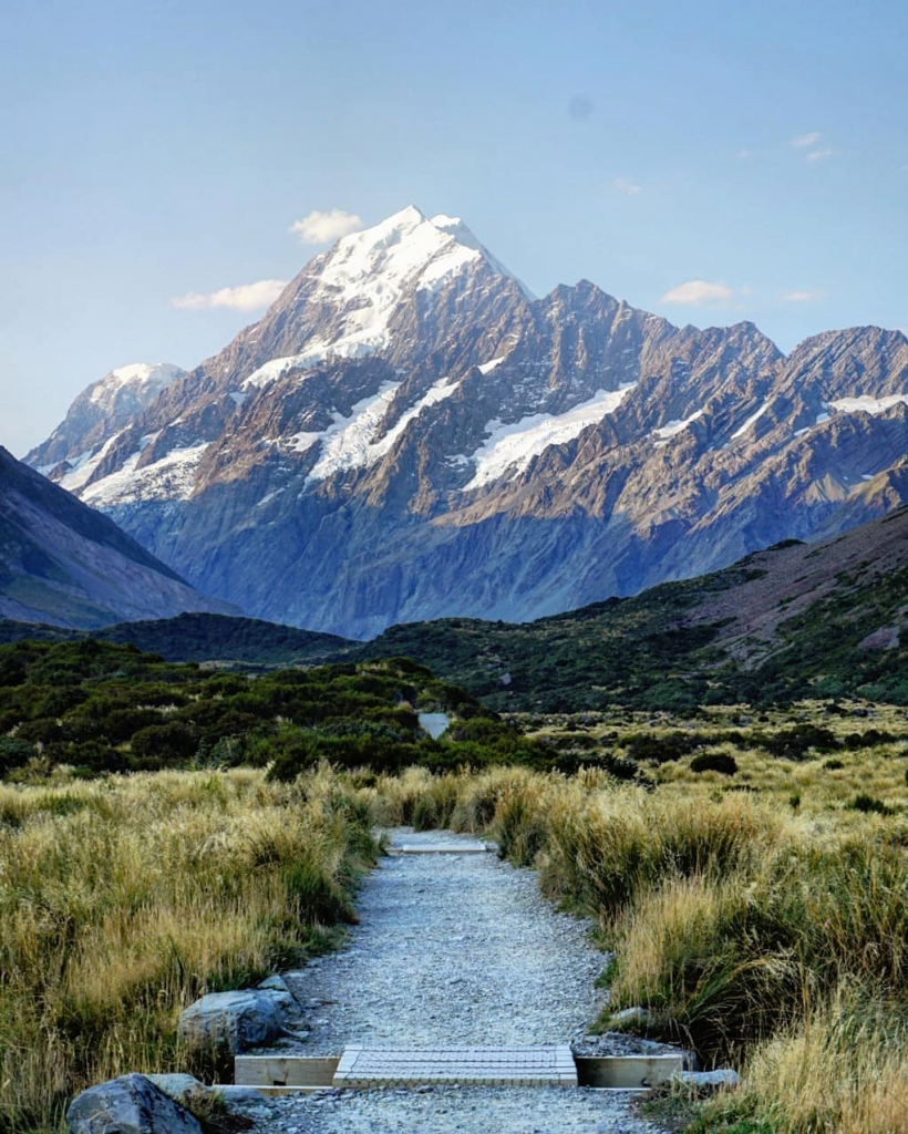 These 4 New Zealand Tours Will Take You To Glacier Hot Pools & Southern ...