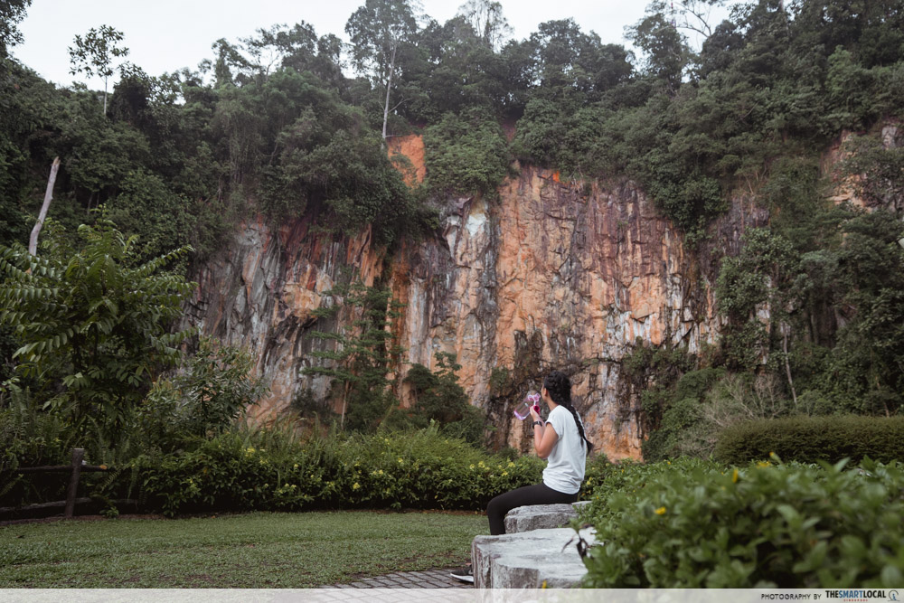 Bukit Batok Nature Park quarry