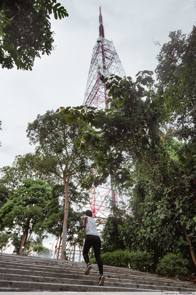 Bukit Batok Nature Park tower