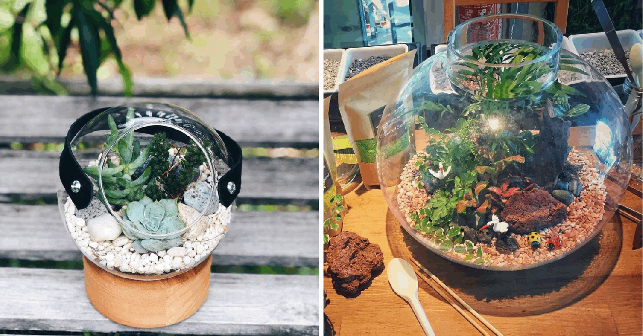 Various terrarium types you can make at the Miniature Gardens Workshop