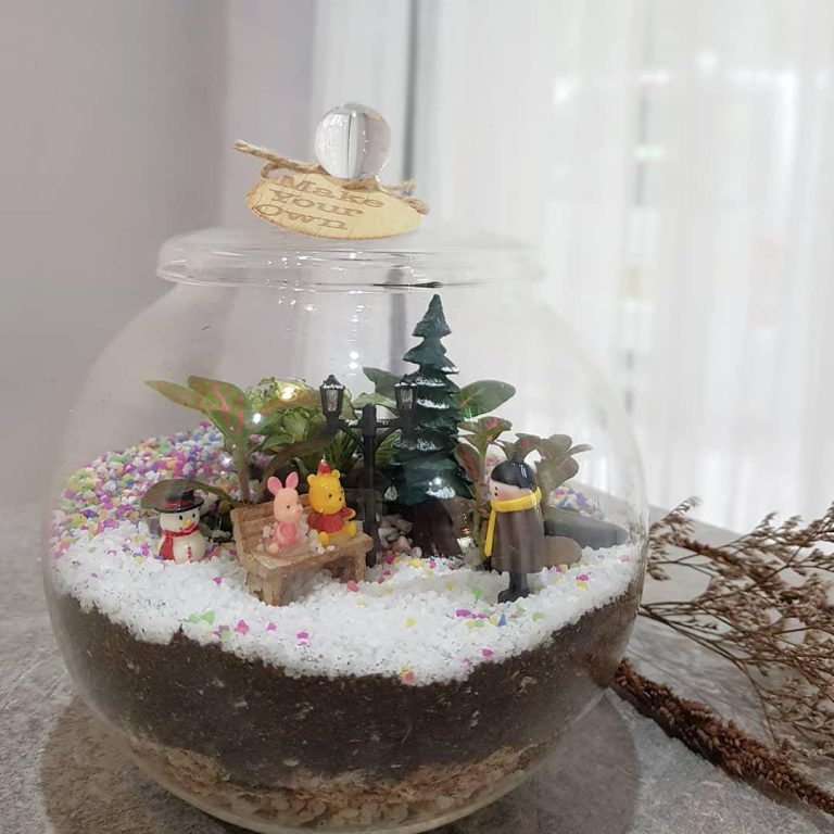 8 Terrarium In Singapore For You To DIY Your Own Low