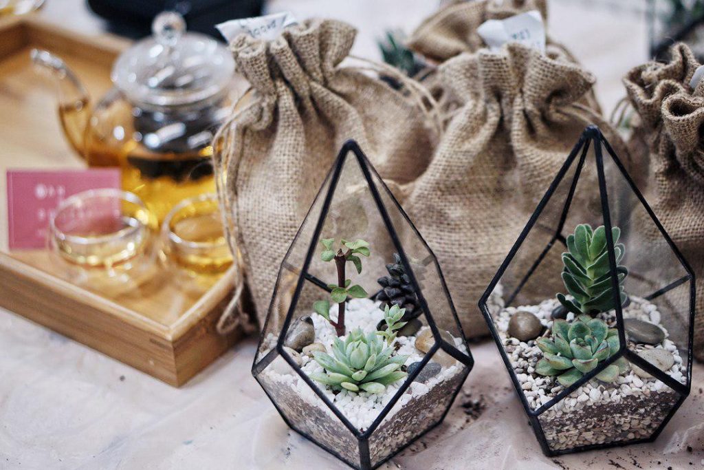 8 Terrarium In Singapore For You To DIY Your Own Low