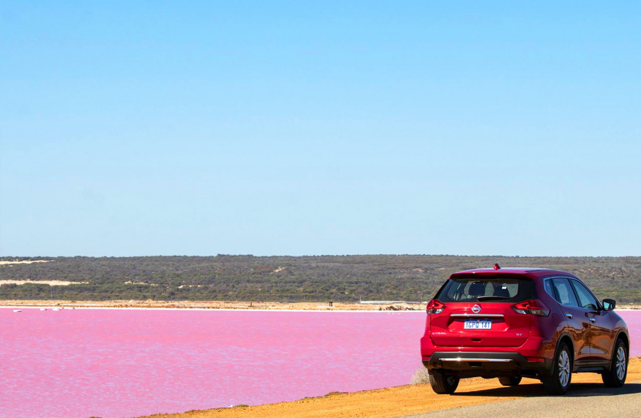 Pink lake - Hutt Lagoon