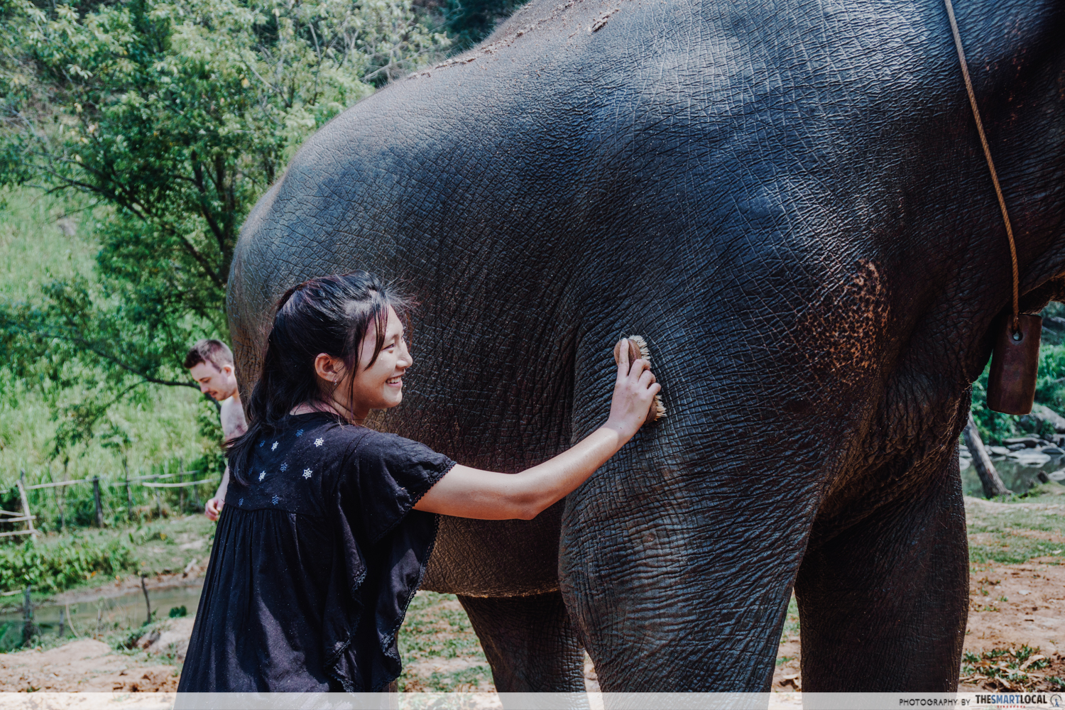 Elephant Jungle Sanctuary Chiang Mai