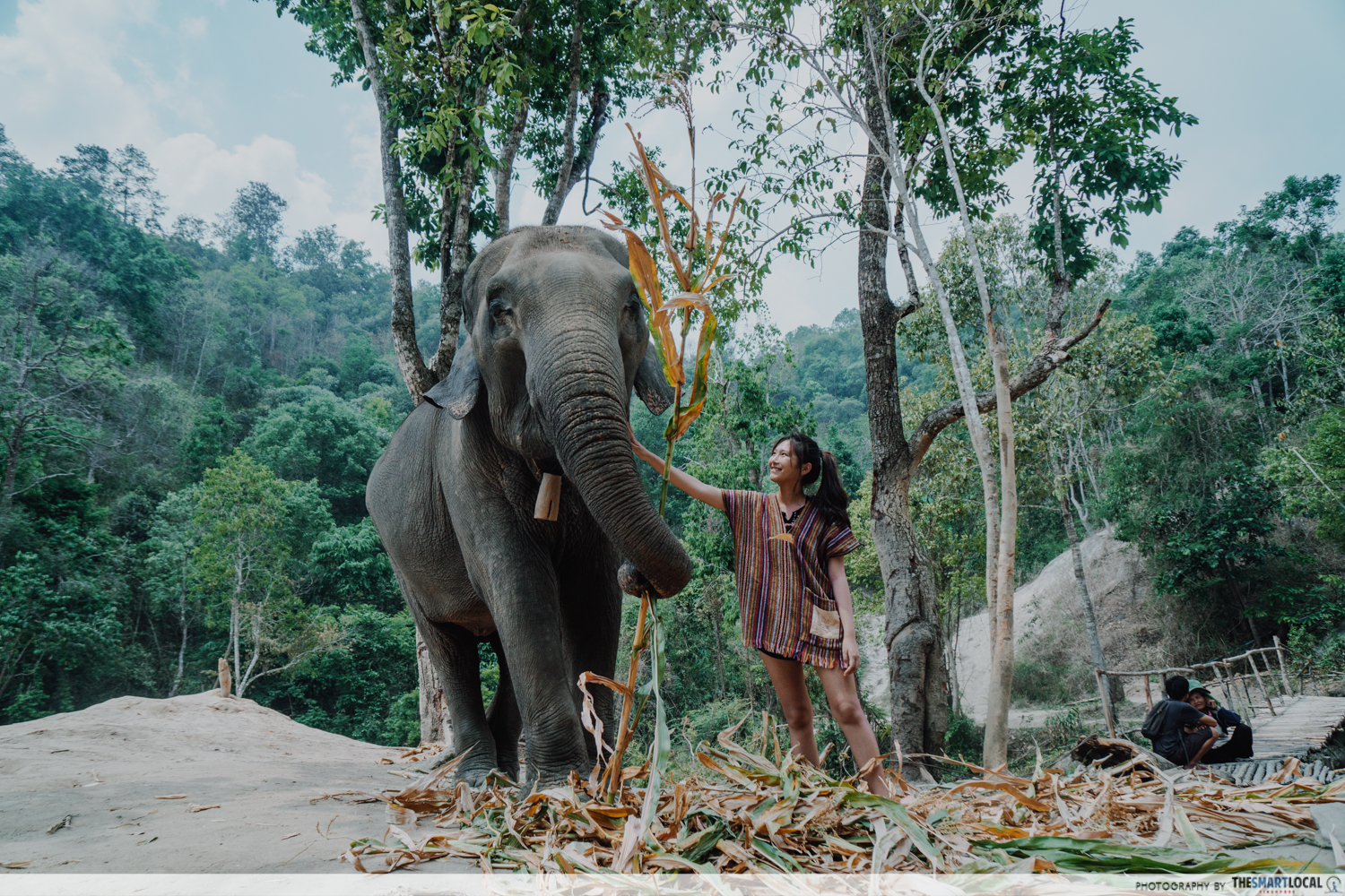 Elephant Jungle Sanctuary Chiang Mai