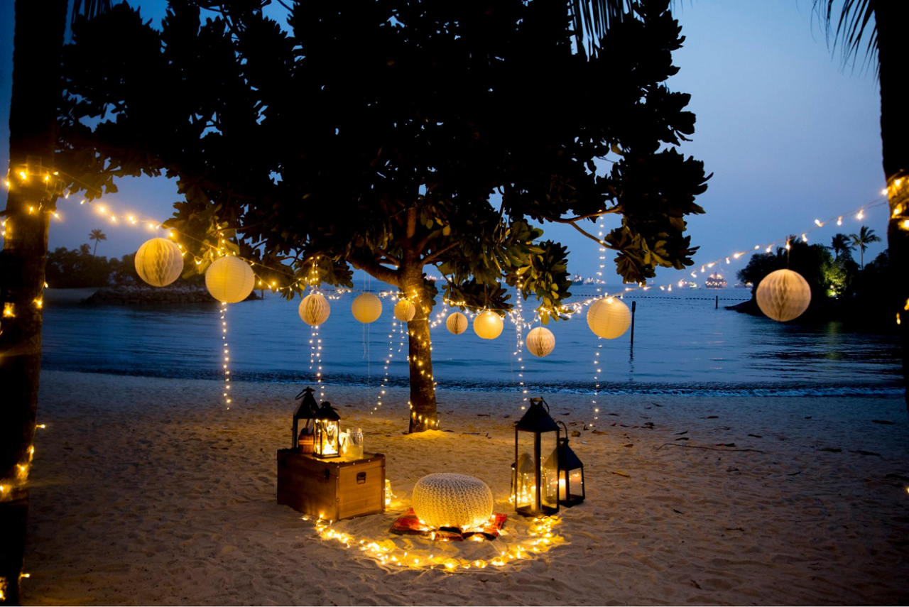 themed proposal setup idea planning service engagement help you marry picnic