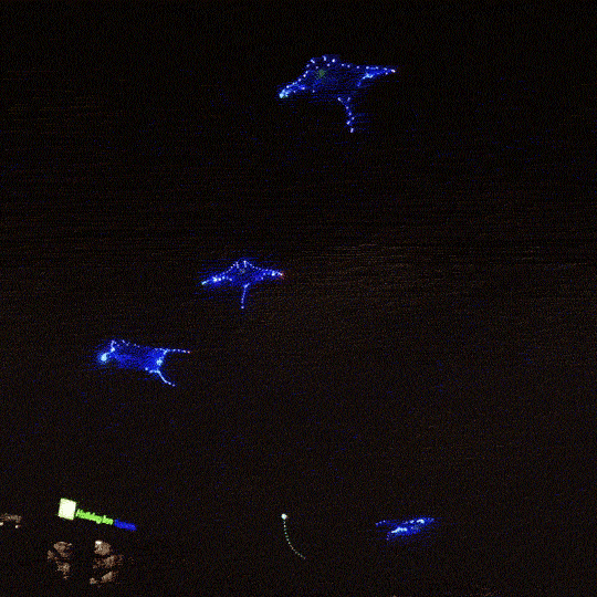 manta ray led kites