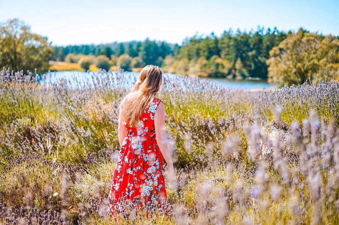 Seattle travel guide SIA - pelinda lavendar fields