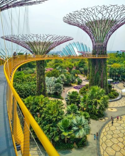 8 Perks To Enjoy With Gardens by the Bay’s 