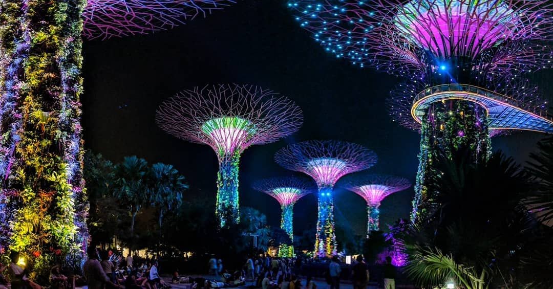 Gardens by the Bay Supertree Grove