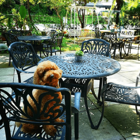 11 Dog-Friendly Cafes & Restaurants In Singapore That You Can Dine At