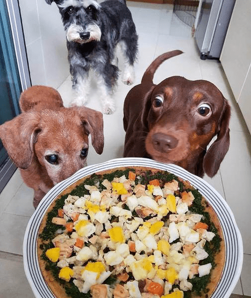 dog treats in Singapore