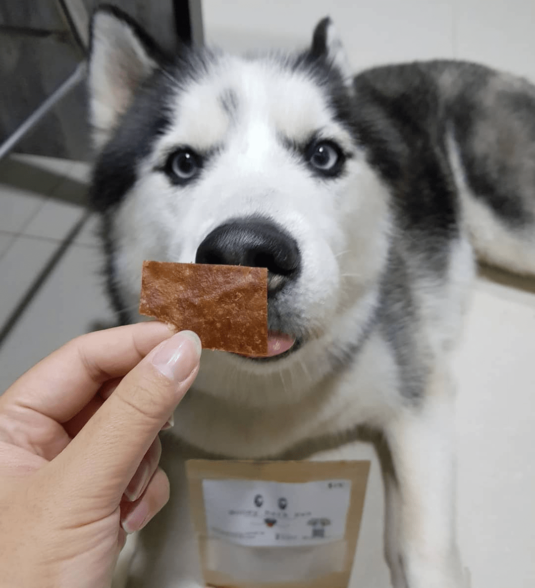 dog treats in Singapore