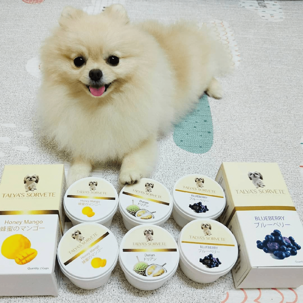 9 Quirky Dog Treats In Singapore To Reward Your Pup With For Being A Good Boy