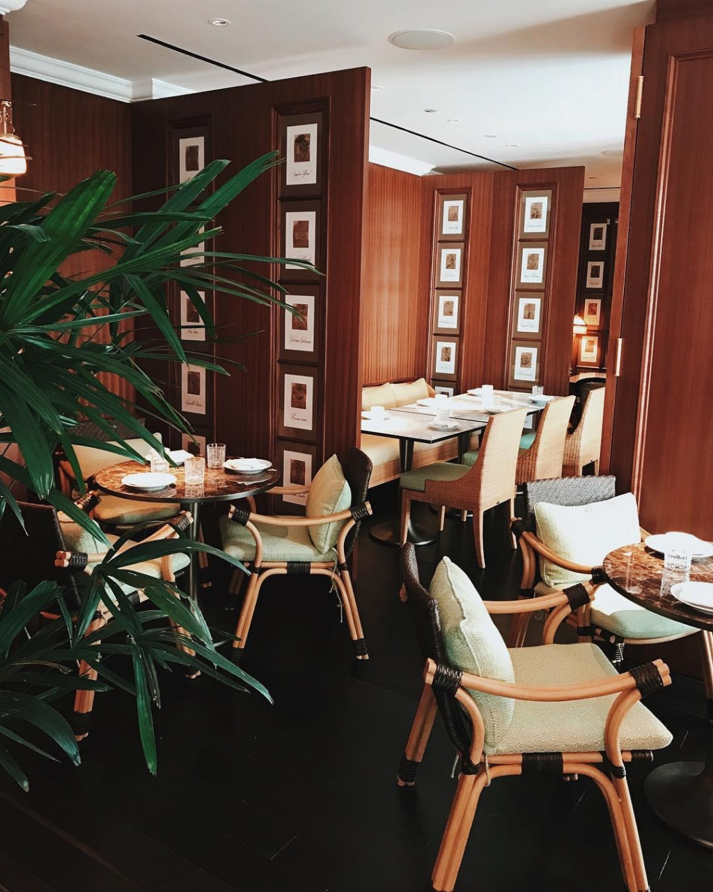 New restaurants - January 2019 - Murray Terrace Brasserie