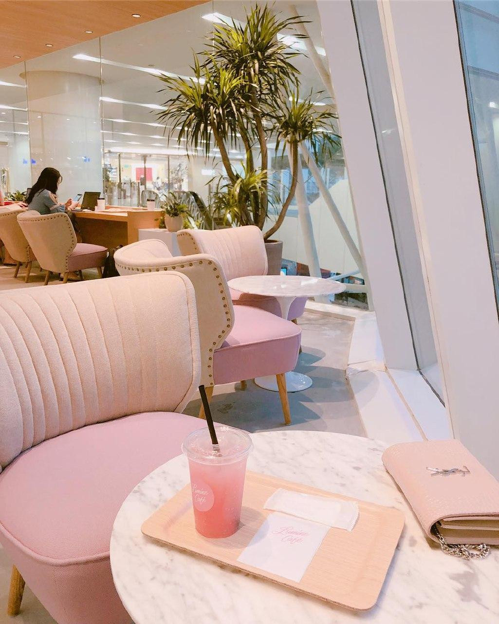 lumine cafe pink sofa interior