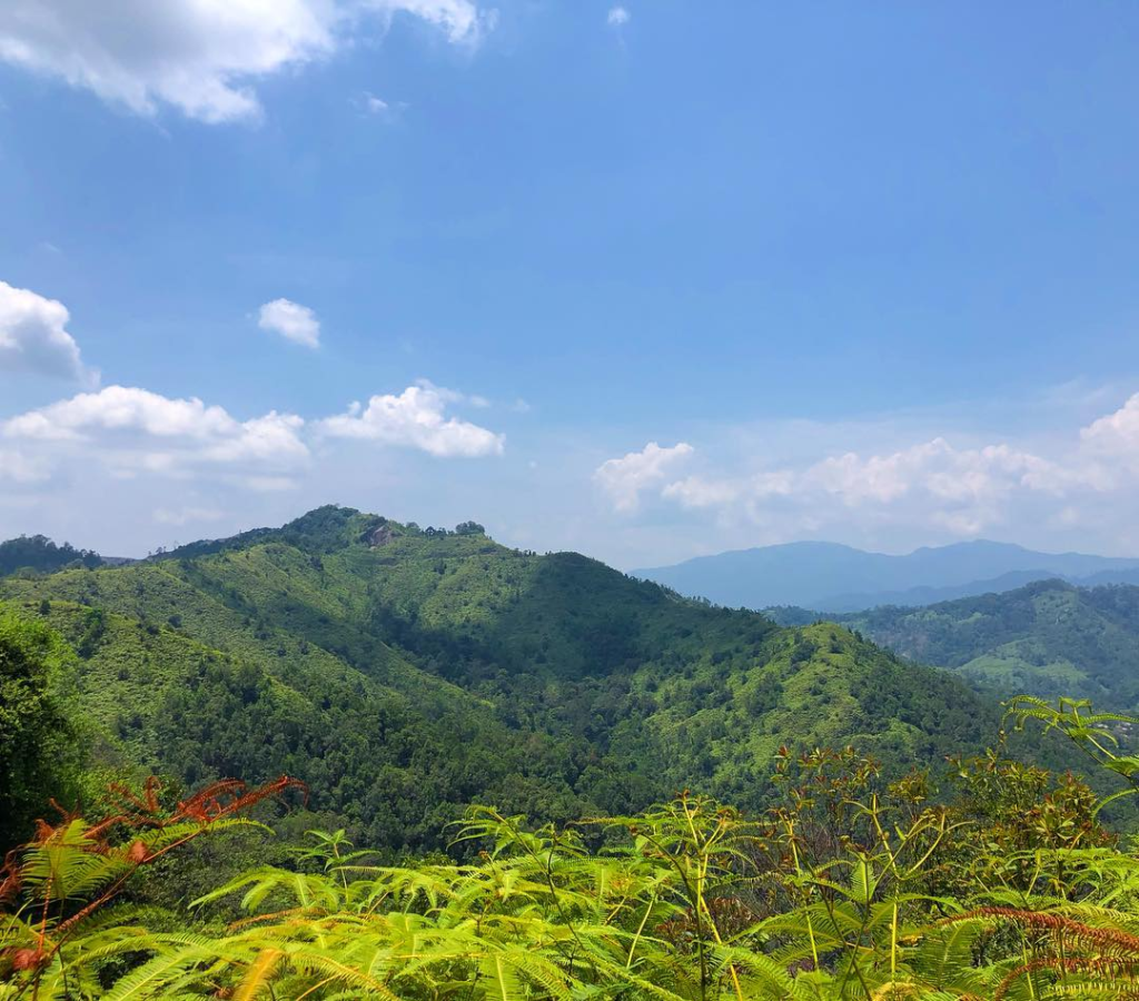 10 Scenic Hiking Trails In Malaysia Even Beginners Can Enjoy