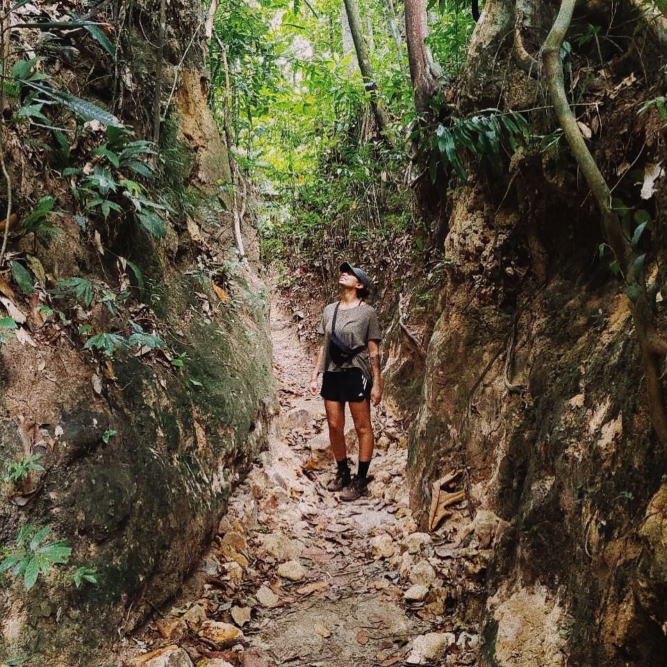 Penang National Park Hiking Trail