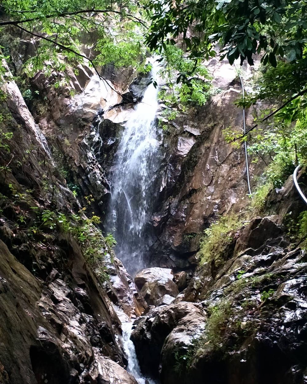 Waterfall along the trail of Mount Pulai 