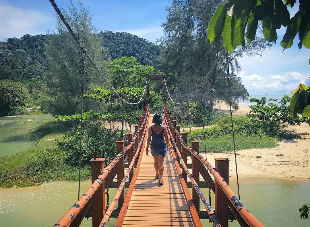 Suspension bridge at Penang National Park