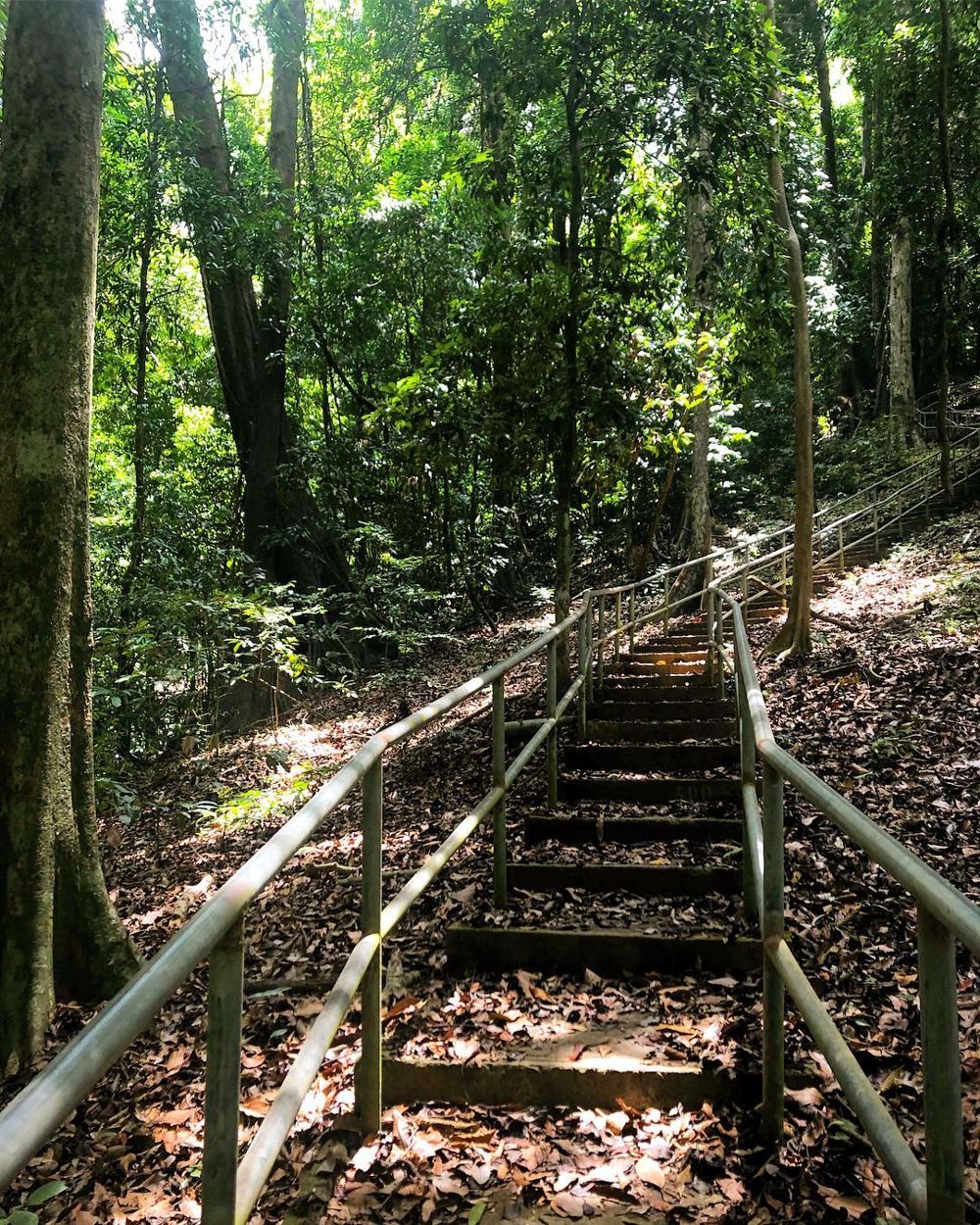 Staircase hiking trail at Mount Raya, Langkawi