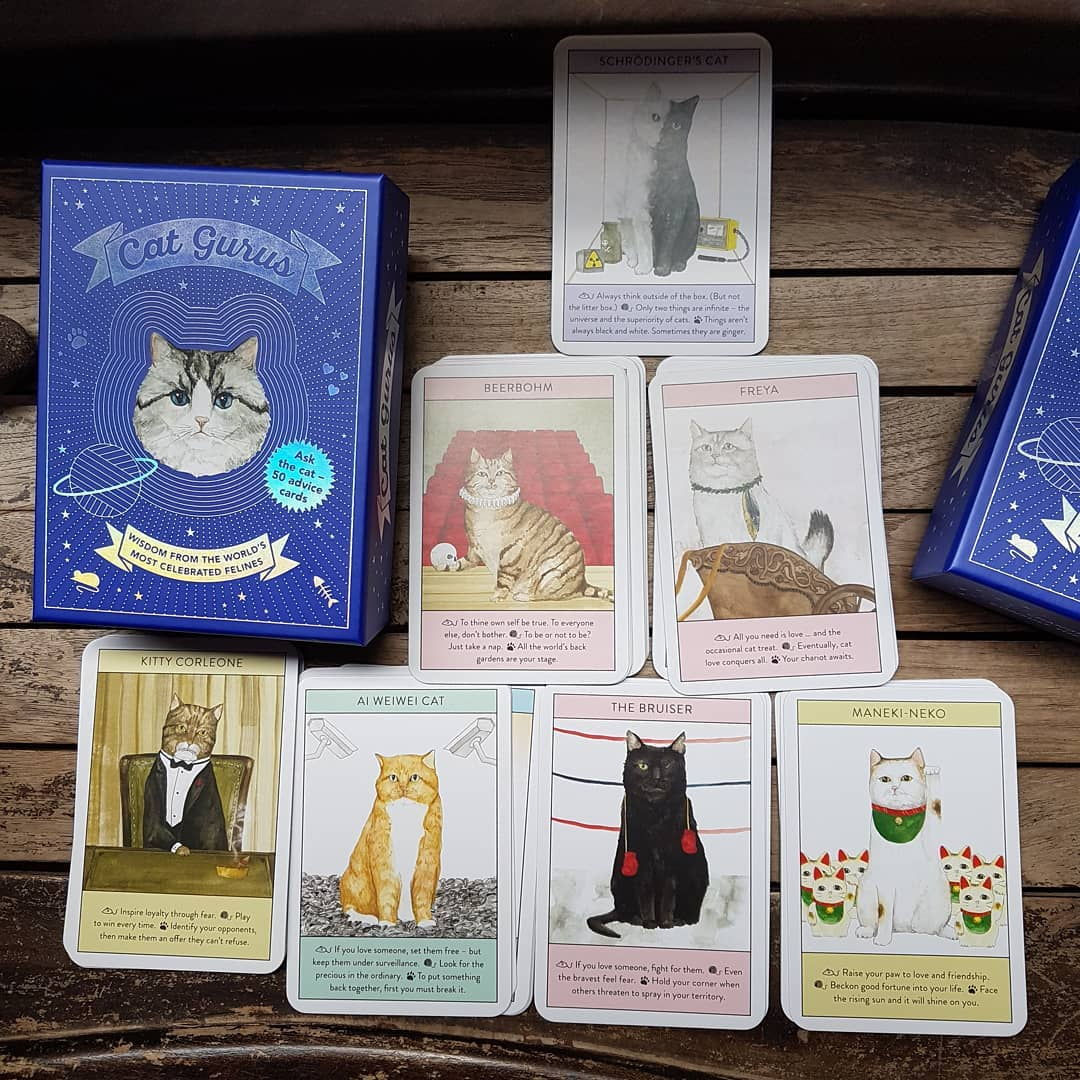 Cat tarot cards Singapore Cat Socrates