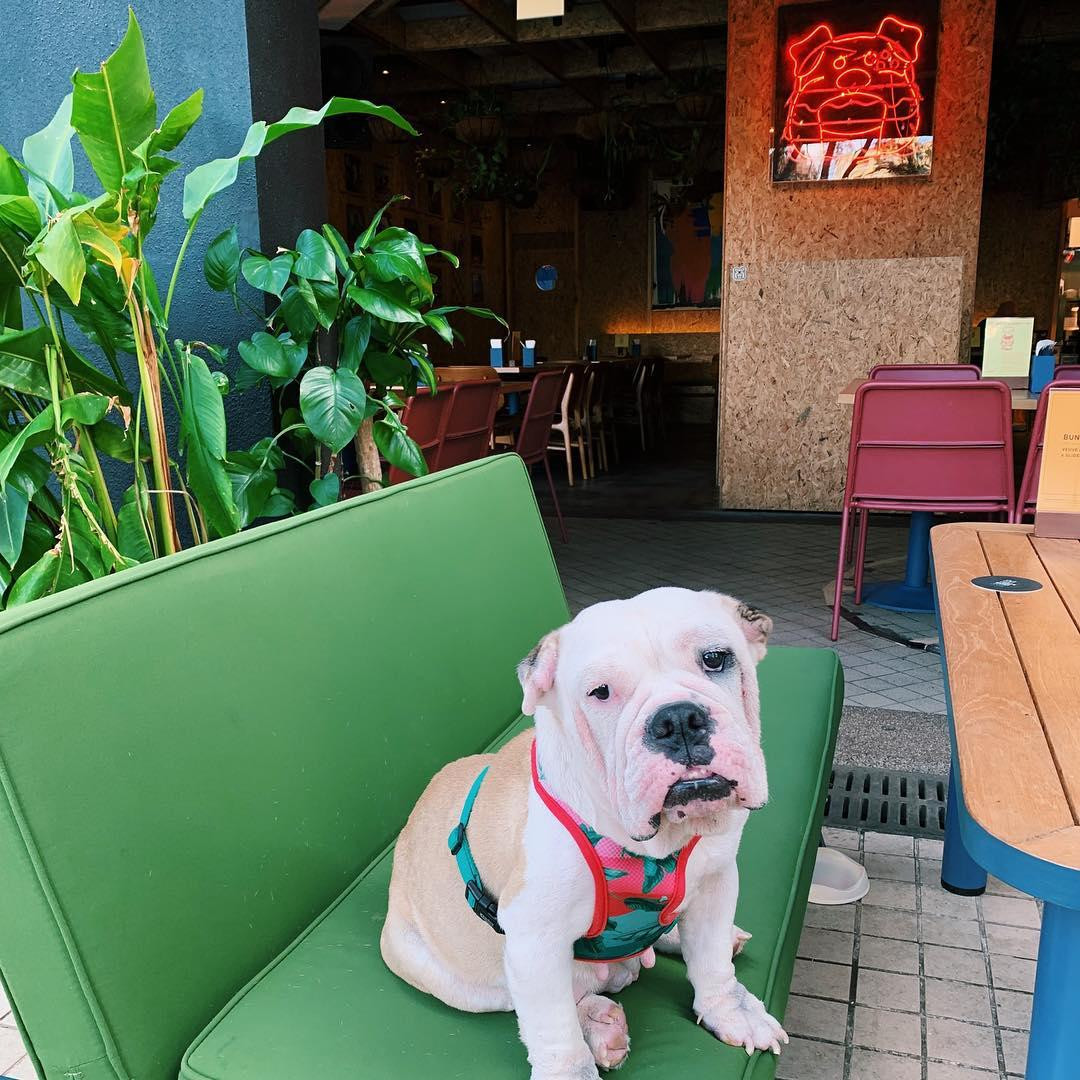 Quayside pet-friendly cafe