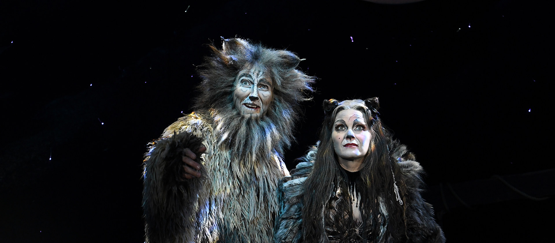 Cast of Cats on stage