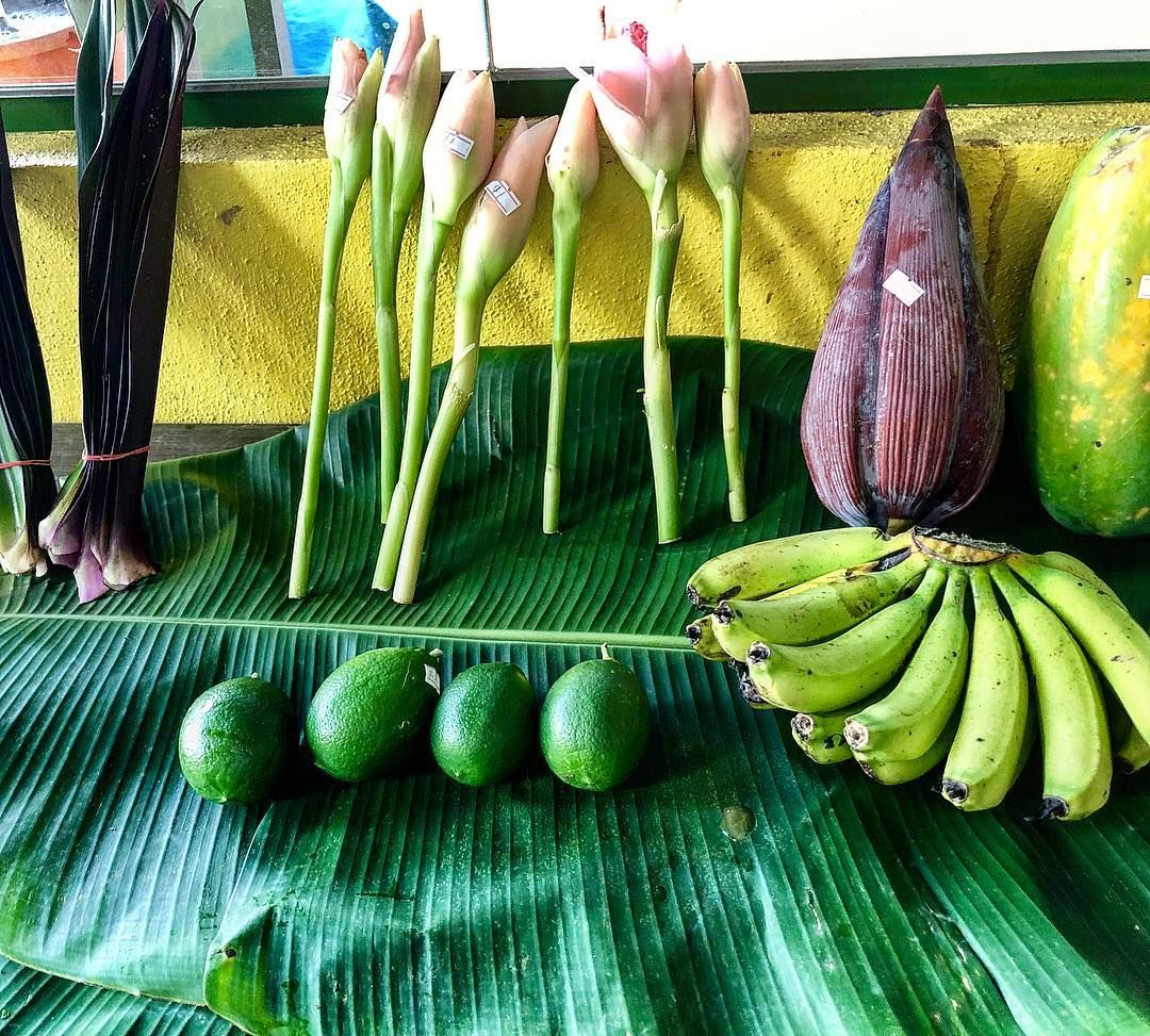 Urban Farms In Singapore For LocallyGrown Vegetables Of High Quality
