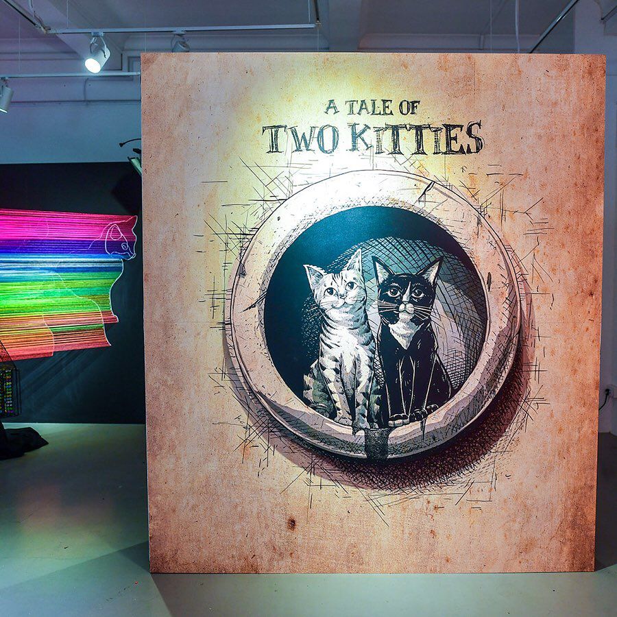 a tale of two kittens cats aliwal arts night crawl 