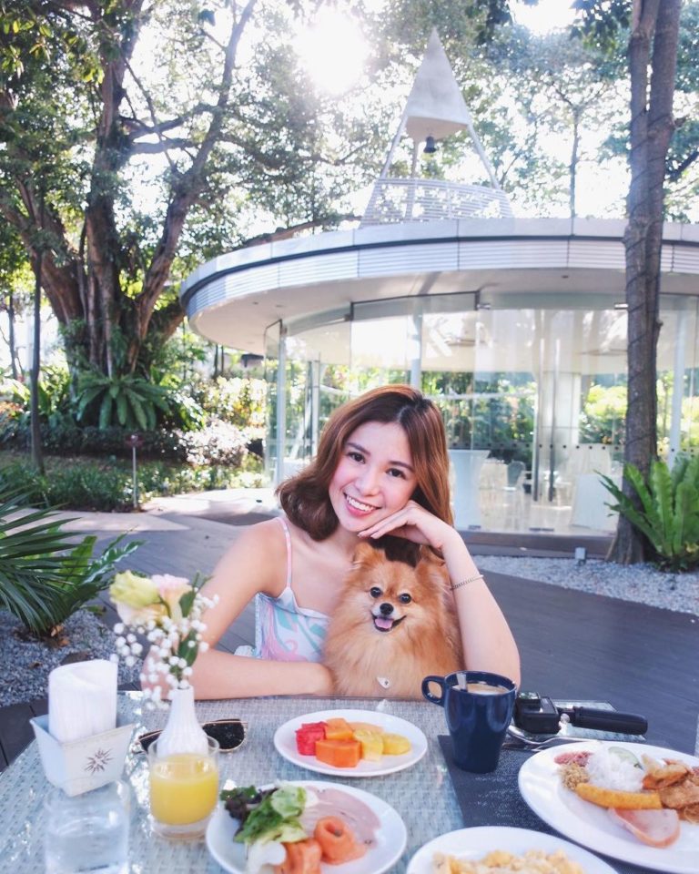 7 PetFriendly Hotels In Singapore From 140/Night