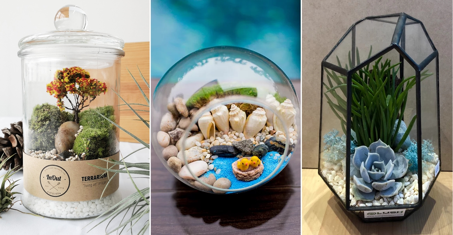 9 Places To Buy Cheap Terrariums In Singapore From Just 14 80