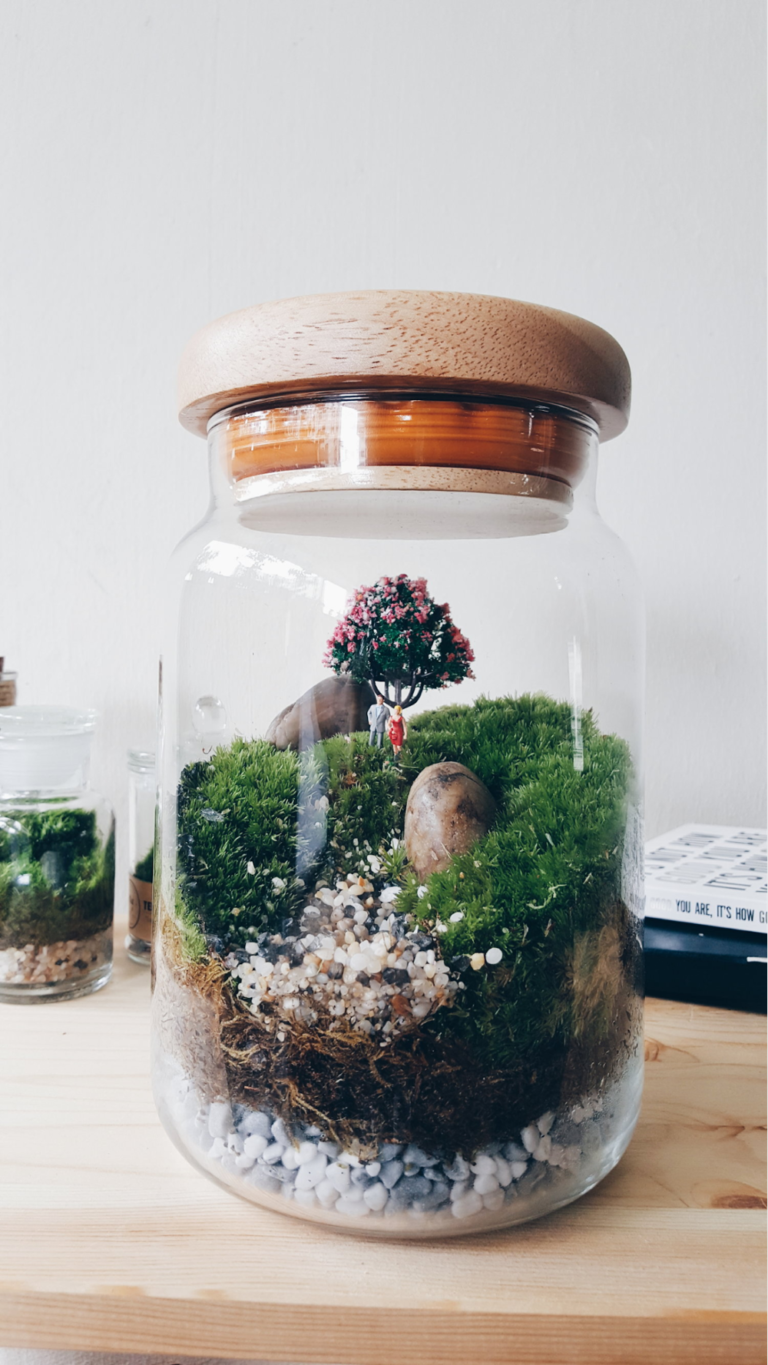9 Places To Buy Cheap Terrariums In Singapore From Just 14.80