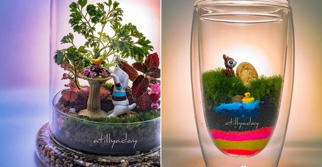 9 Places To Buy Cheap Terrariums In Singapore From Just 14.80