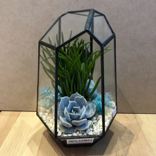 9 Places To Buy Cheap Terrariums In Singapore From Just 14.80