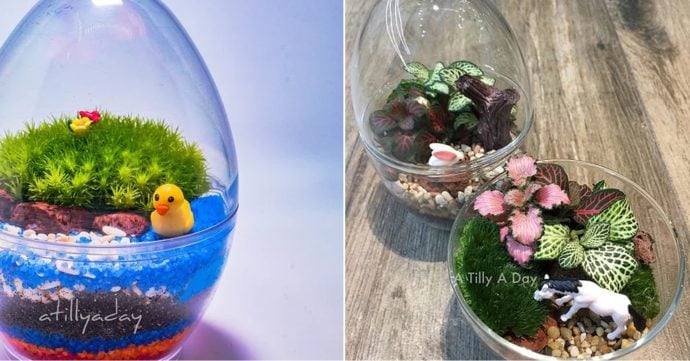 9 Places To Buy Cheap Terrariums In Singapore From Just $14.80