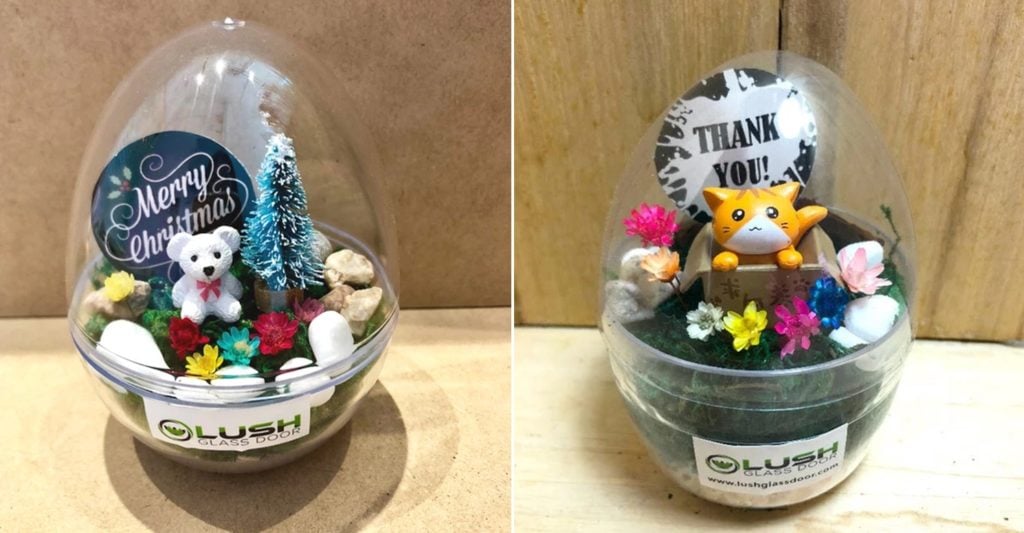 9 Places To Buy Cheap Terrariums In Singapore From Just 14.80