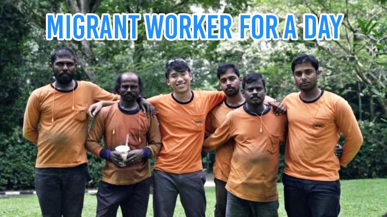 Migrant worker cover image