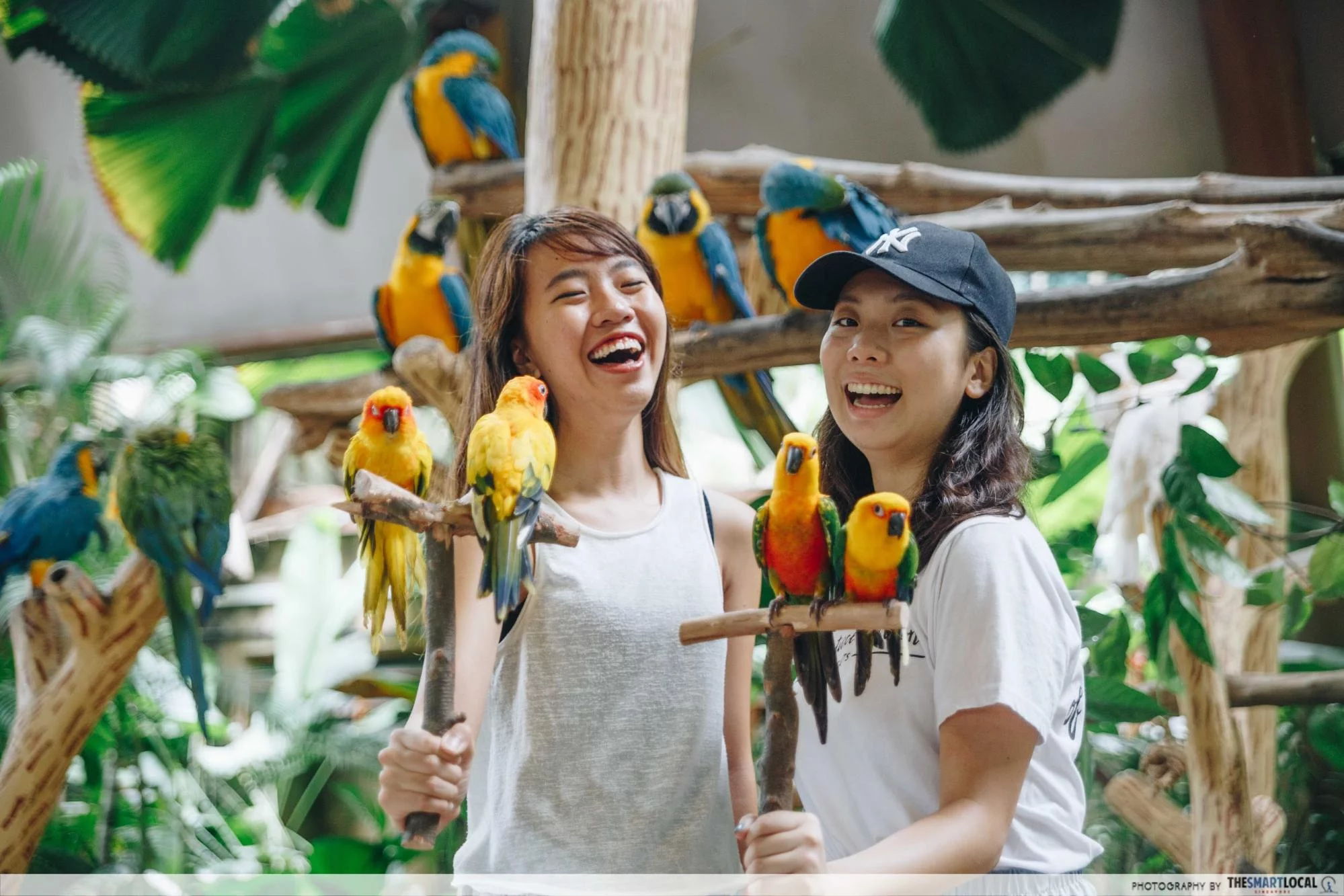 Jurong Bird Park free entry