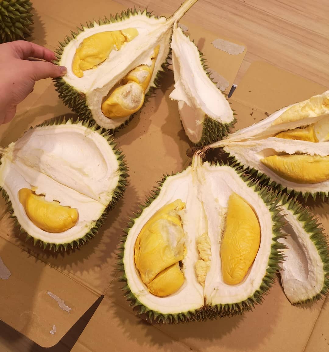 malay words - durian 
